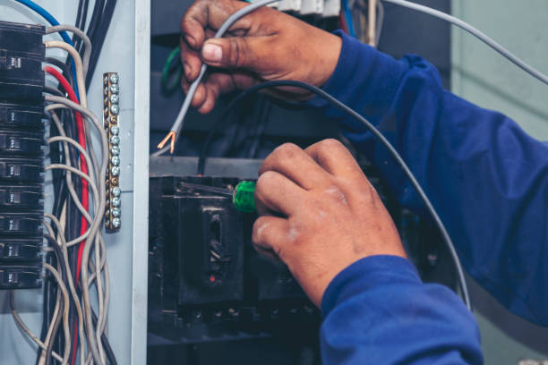 Best Electric Panel Repair  in Prince George, VA